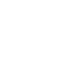 CHAMPIONS LEAGUE